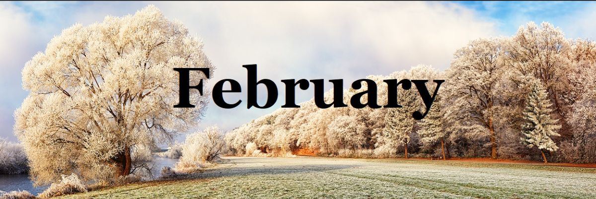 February - a frosty scene of trees and grass on a cold winter's day