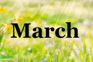 What was new in March? Update #35