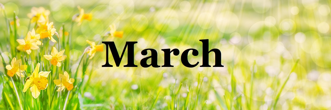 An image of a sunlit grassy meadow with daffodils in full bloom and the word "March"