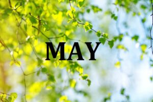 What was new in June? Update #38