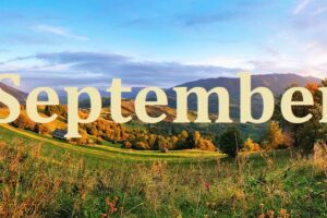 What was new in October? Update #42